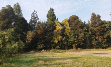 VENTA PARCELA 5000MTS la compañia, 1300