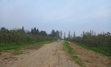 VENTA PARCELA 5000MTS la compañia, 1300