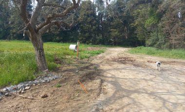 VENTA PARCELA 5000MTS la compañia, 1300