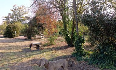 Parcela en arriendo con casa de 140m2 terreno 2 has ubicado en Graneros