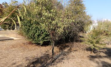 Parcela en arriendo con casa de 140m2 terreno 2 has ubicado en Graneros