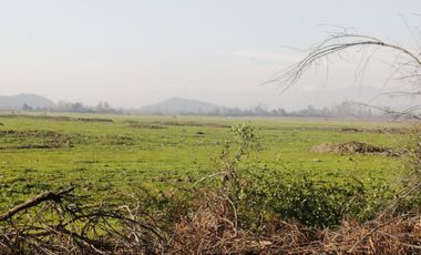 Agrícola en venta de 60 has ubicado en Requínoa