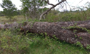 MARAVILLOSAS PARCELAS CON ROL, AGUA DE VERTIENTE