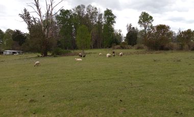MARAVILLOSAS PARCELAS CON ROL, AGUA DE VERTIENTE
