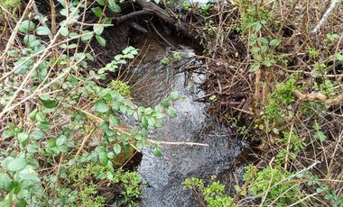 MARAVILLOSAS PARCELAS CON ROL, AGUA DE VERTIENTE