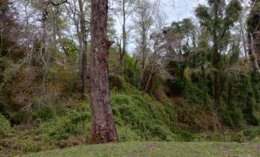 MARAVILLOSAS PARCELAS CON ROL, AGUA DE VERTIENTE