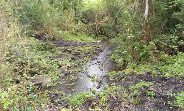 MARAVILLOSAS PARCELAS CON ROL, AGUA DE VERTIENTE