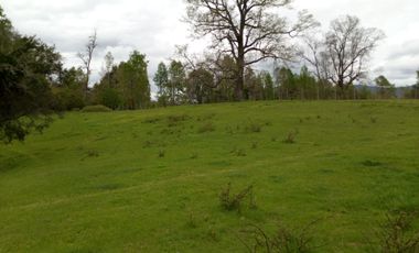 MARAVILLOSAS PARCELAS CON ROL, AGUA DE VERTIENTE
