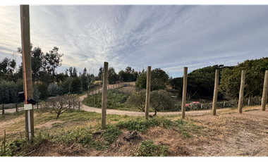 Acogedora casa en Santa Adela