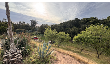 Acogedora casa en Santa Adela