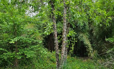 VENTA DERECHOS SITIO VILLARRICA