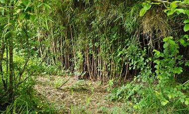 VENTA DERECHOS SITIO VILLARRICA