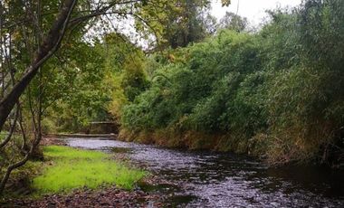 Parcela en Venta en Río bueno
