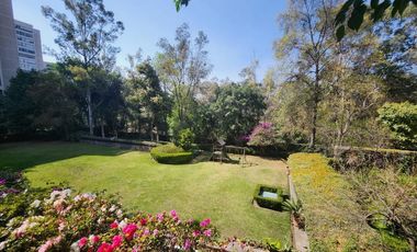 Depto. Renta Palmas Corinto, Paseo de las Palmas, Lomas de Chapultepec, Miguel Hidalgo, CDMX