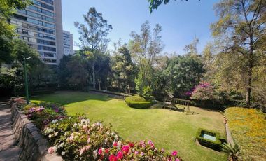 Depto. Renta Palmas Corinto, Paseo de las Palmas, Lomas de Chapultepec, Miguel Hidalgo, CDMX