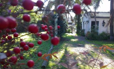 Casa en venta - 2 Dormitorios 2 Baños - Cochera - 1.627Mts2 - Del Viso