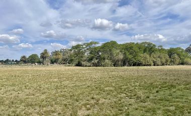 Terreno en Roque Pérez a precio imperdible