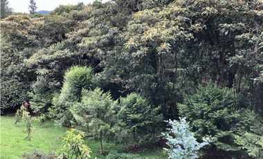 Espectacular Casa Campestre en el Alto de Las Palmas