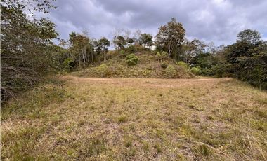 LOTE EN VENTA EN EL RETIRO UNIDAD CERRADA SECTOR PANTANILLO