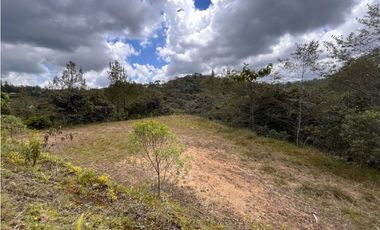 LOTE EN VENTA EN EL RETIRO UNIDAD CERRADA SECTOR PANTANILLO