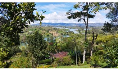 Venta Finca El Peñol Vereda La Chapa Antioquia