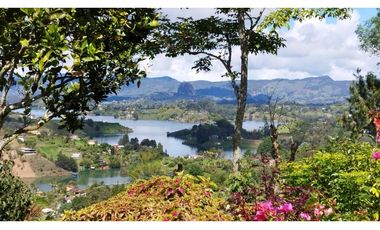 Venta Finca El Peñol Vereda La Chapa Antioquia