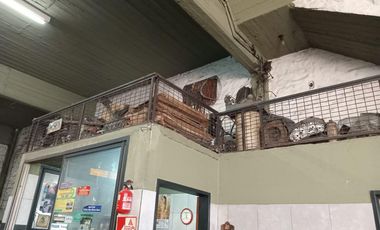 Galpón con vivienda