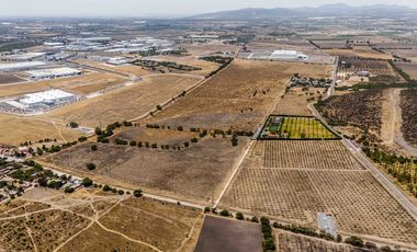 Venta de Predio C-9 dentro del Parque Industrial Opción, Gto.