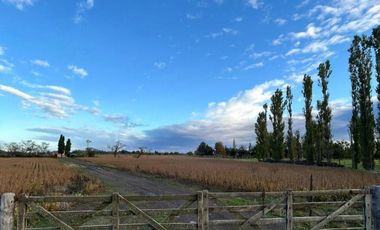 Campo en venta - 2 Dormitorios 1 Baño - Cochera - 23.000Mts2 - Exaltación de La Cruz