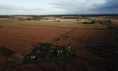 Campo en venta - 2 Dormitorios 1 Baño - Cochera - 23.000Mts2 - Exaltación de La Cruz