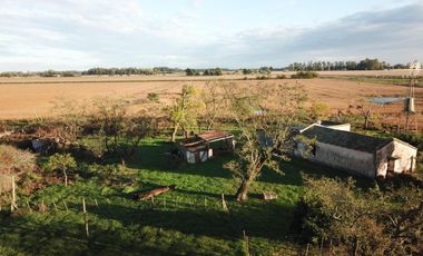 Campo en venta - 2 Dormitorios 1 Baño - Cochera - 23.000Mts2 - Exaltación de La Cruz