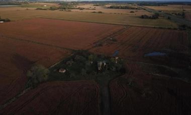 Campo en venta - 2 Dormitorios 1 Baño - Cochera - 23.000Mts2 - Exaltación de La Cruz