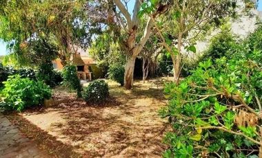 Casa en venta - 4 Dormitorios 2 Baños - 353Mts2 - Mar del Tuyú