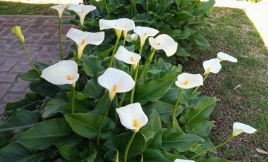 Casa en  Sierra de los Padres