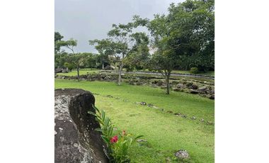 VENTA DE LOTE EN LOS MOLINOS 1,313 METROS DE ESQUINA