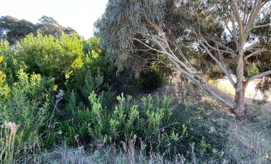 Terreno en venta - 857.19mts2 - Ecuestre, Costa Esmeralda