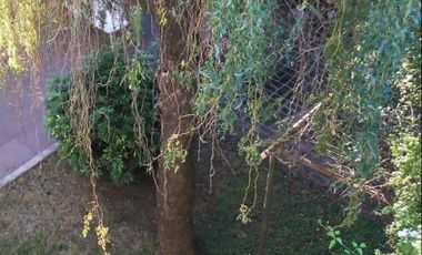 Casa en venta - 4 Dormitorios 3 Baños - Cochera - 300Mts2 - Cañuelas