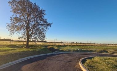 Terreno en venta - 623mts2 - Canning