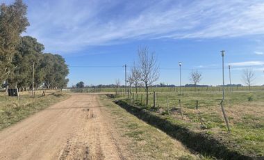 Terreno - Salvador Maria