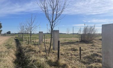 Terreno - Salvador Maria