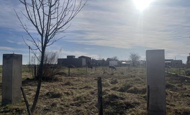 Terreno - Salvador Maria