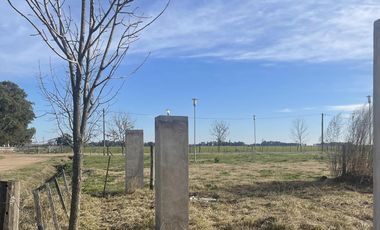 Terreno - Salvador Maria