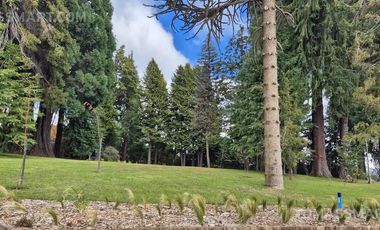 Departamento - Bariloche Vista Lago