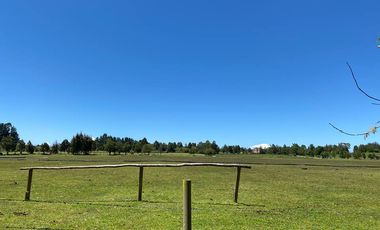 VIVE RODEADO DE NATURALEZA EN PARQUE LOS CANELOS