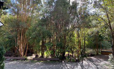 VIVE RODEADO DE NATURALEZA EN PARQUE LOS CANELOS
