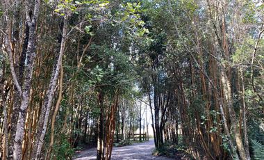VIVE RODEADO DE NATURALEZA EN PARQUE LOS CANELOS