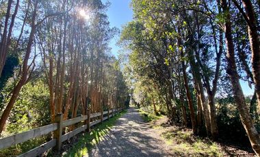 VIVE RODEADO DE NATURALEZA EN PARQUE LOS CANELOS