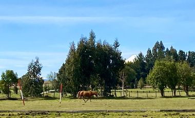 VIVE RODEADO DE NATURALEZA EN PARQUE LOS CANELOS
