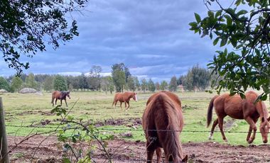 VIVE RODEADO DE NATURALEZA EN PARQUE LOS CANELOS