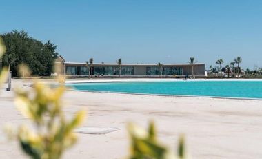 Terreno  Vida Lagoon